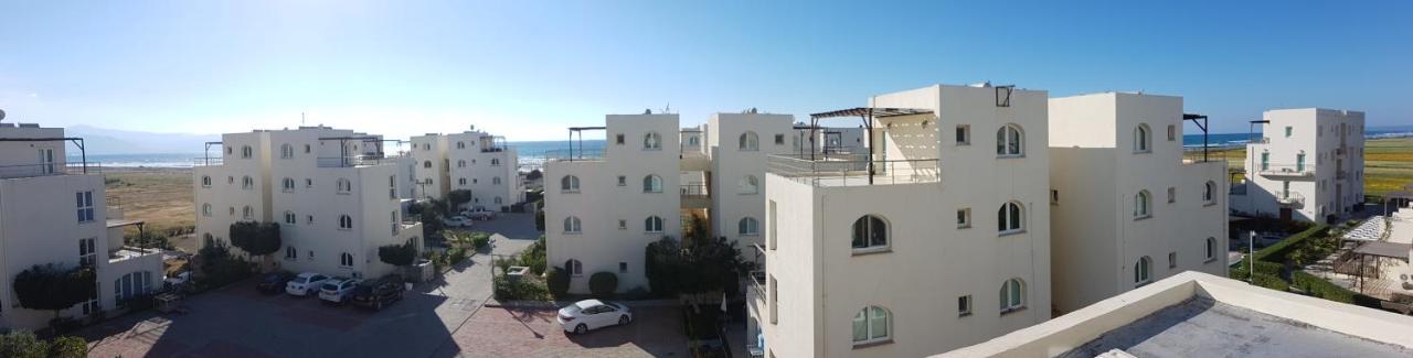 Aphrodite Beachfront Penthouse Apartment Ghaziveran Екстер'єр фото