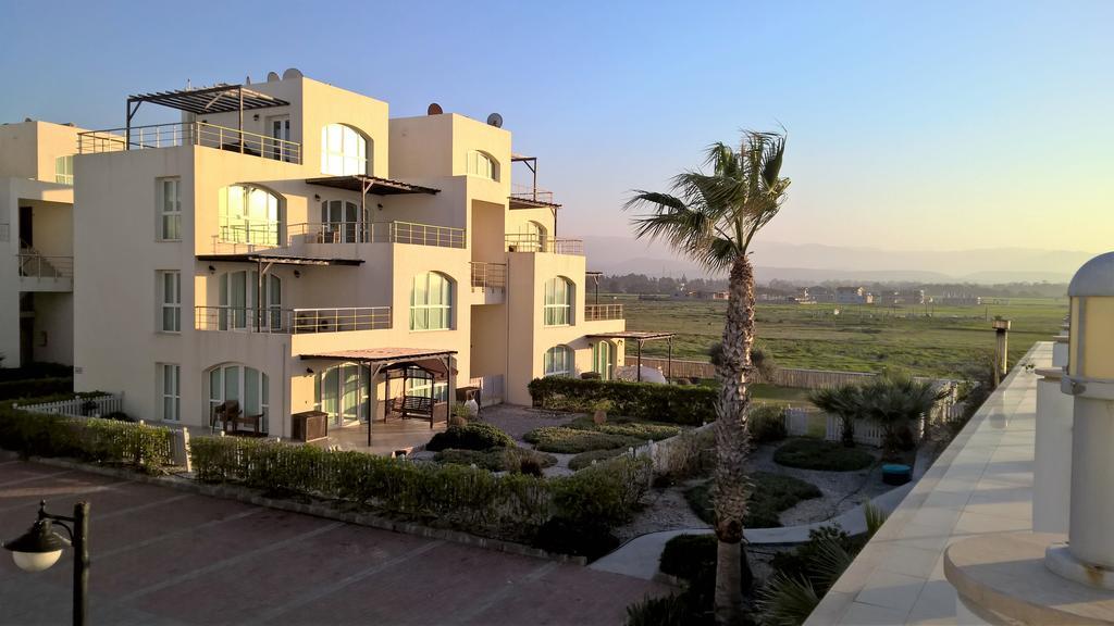 Aphrodite Beachfront Penthouse Apartment Ghaziveran Екстер'єр фото