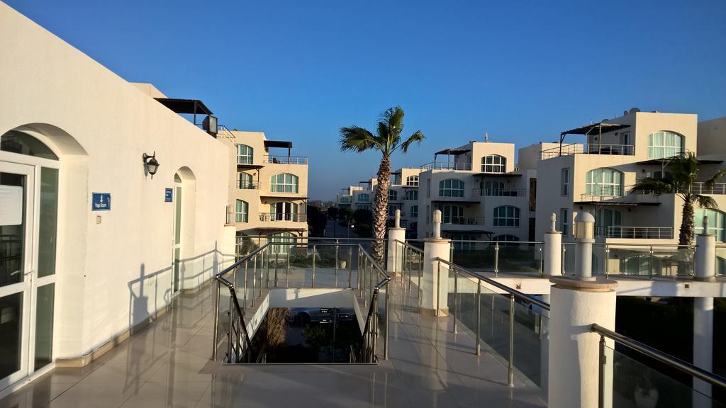 Aphrodite Beachfront Penthouse Apartment Ghaziveran Екстер'єр фото