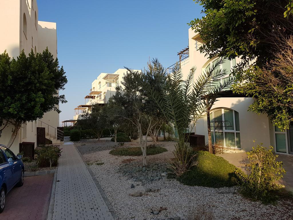 Aphrodite Beachfront Penthouse Apartment Ghaziveran Екстер'єр фото