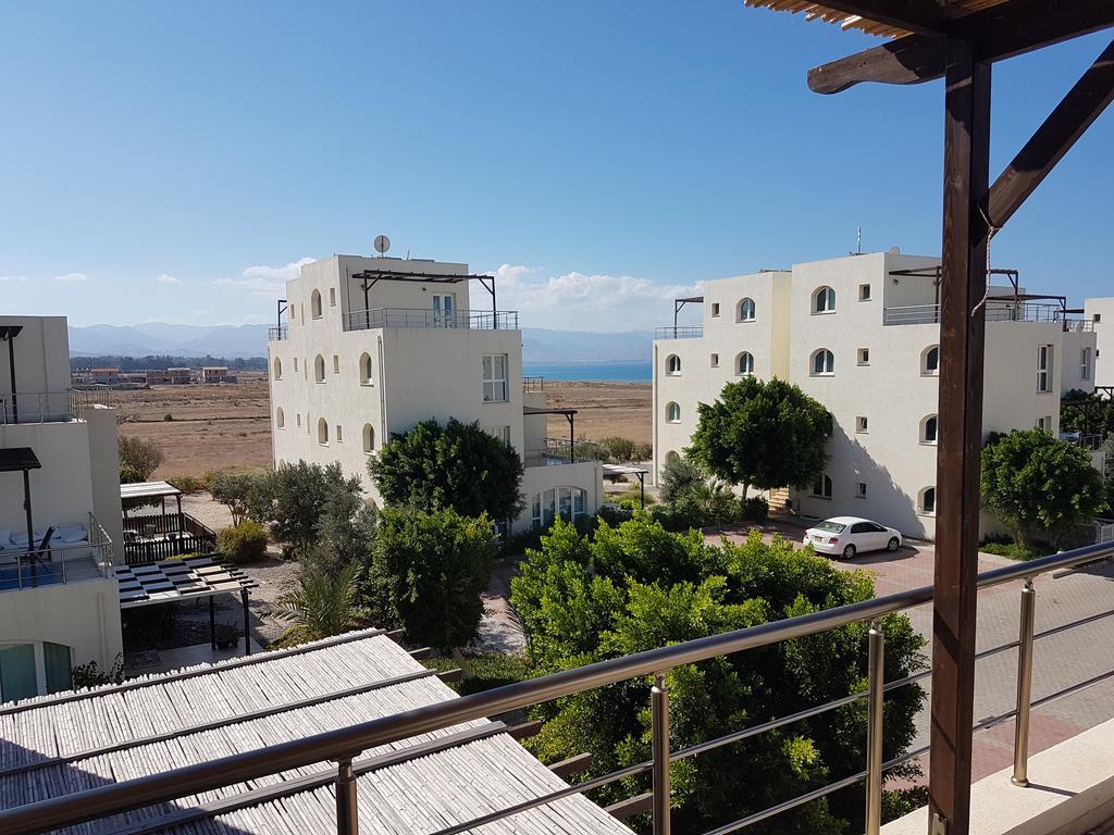 Aphrodite Beachfront Penthouse Apartment Ghaziveran Екстер'єр фото